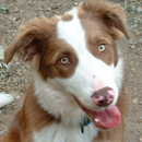 Dustin was adopted in July, 2006